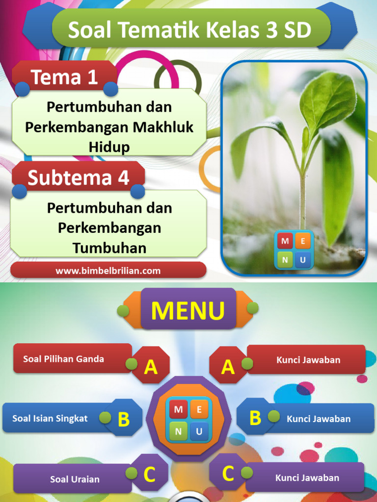 Ternyata Ini Kunci Jawaban Soal Tentang Pertumbuhan dan Perkembangan Tumbuhan Kelas 3 SD Ternyata Ini Kunci Jawaban Soal Tentang Pertumbuhan dan Perkembangan Tumbuhan Kelas 3 SD